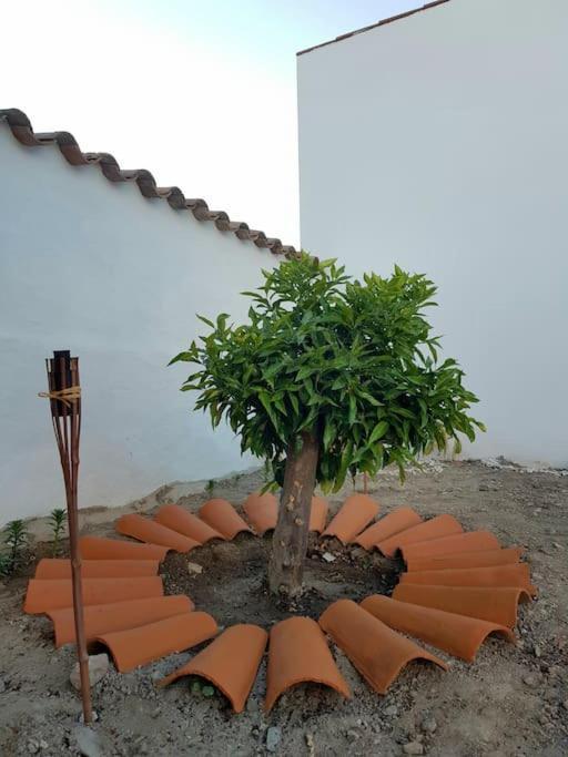 Casa Da Enxota Villa Povoa de Sao Miguel Buitenkant foto